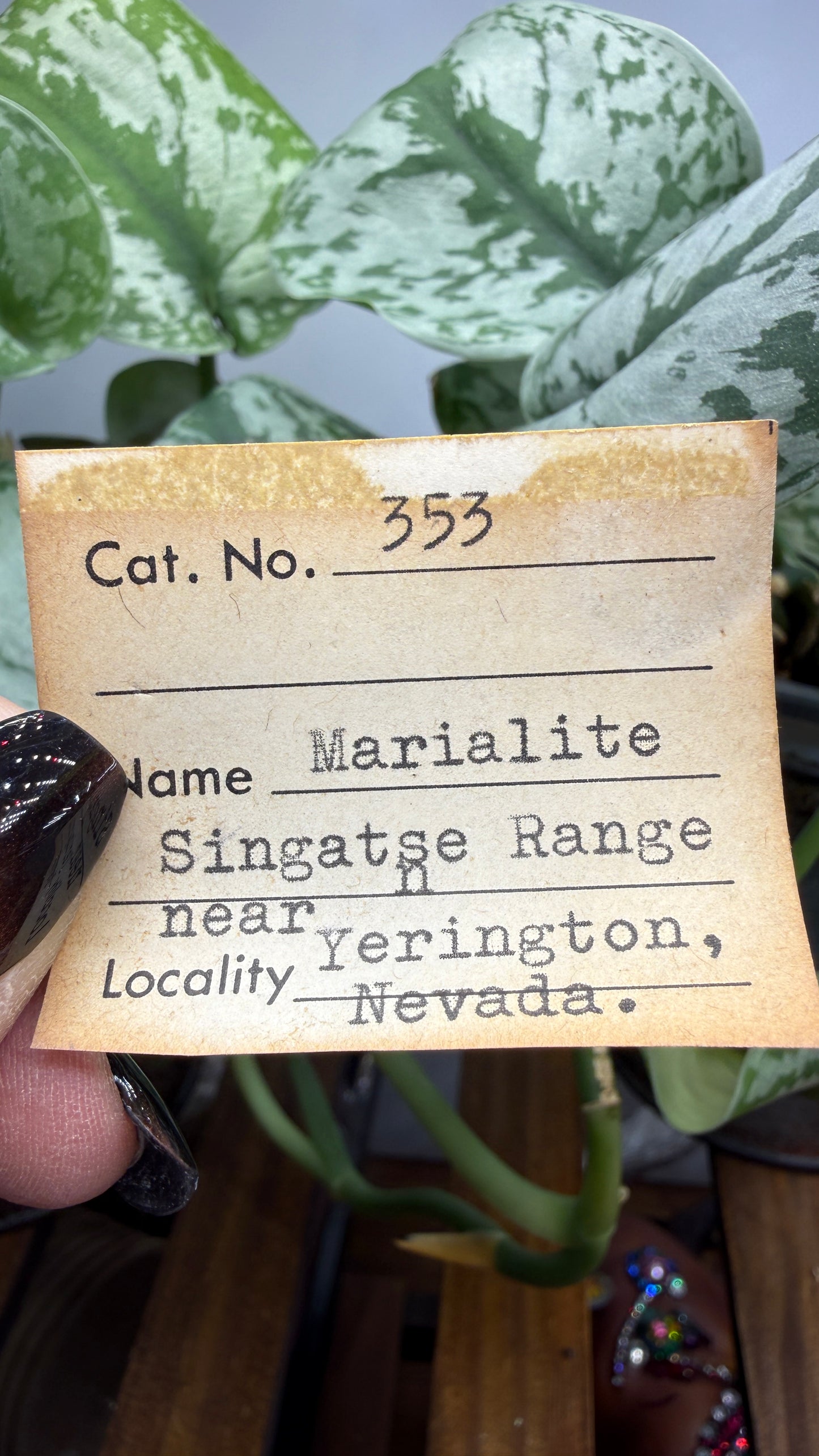 Marialite- Singatse Range, near Yerington, Nevada