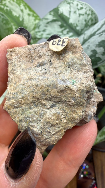 Metatorbernite- Castle Dome, Miami, Arizona