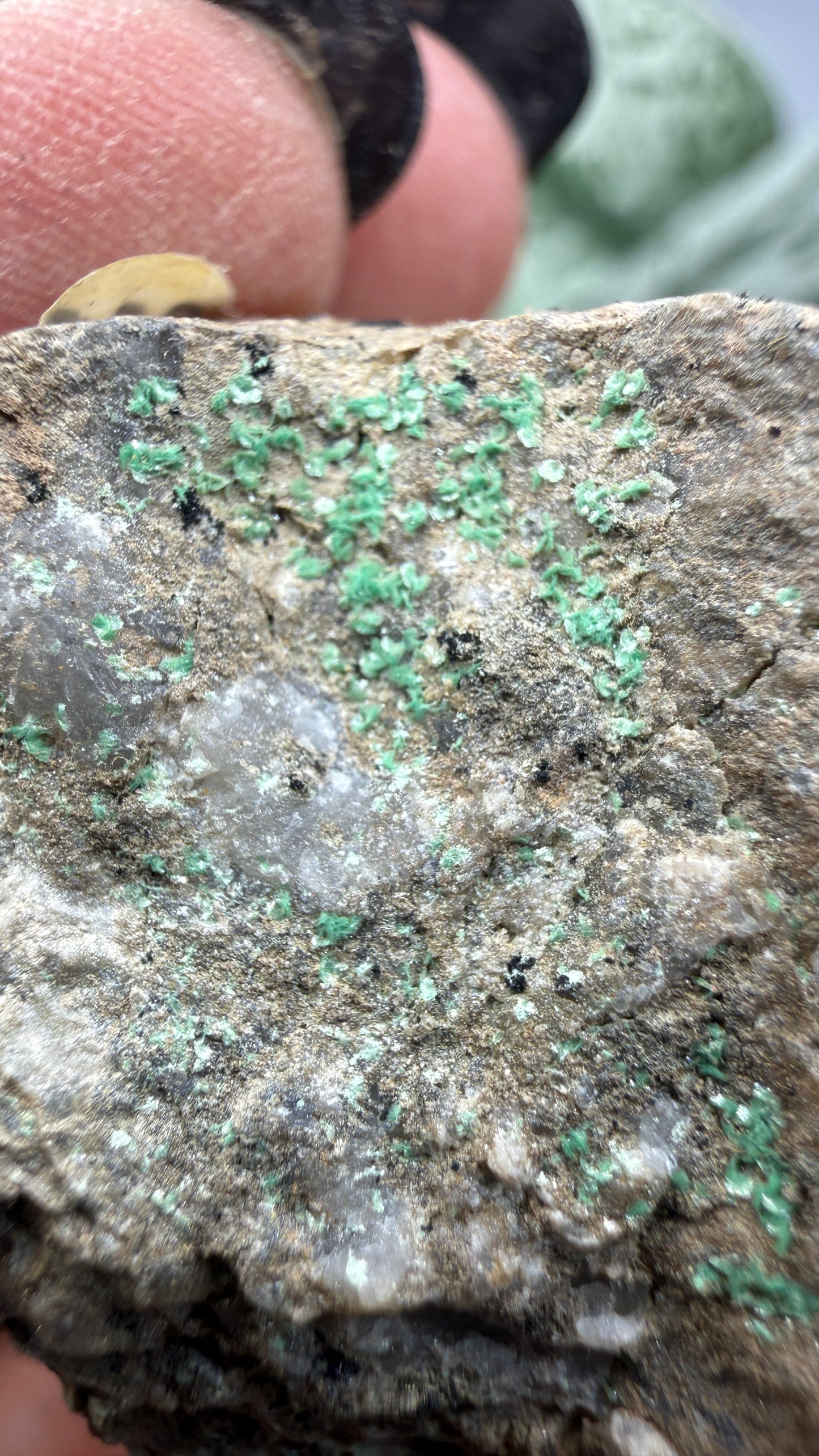 Metatorbernite- Castle Dome, Miami, Arizona