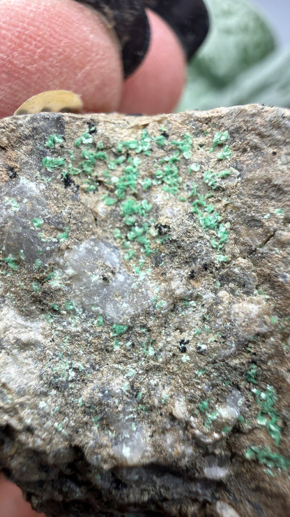 Metatorbernite- Castle Dome, Miami, Arizona