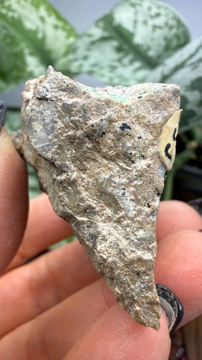 Metatorbernite- Castle Dome, Miami, Arizona