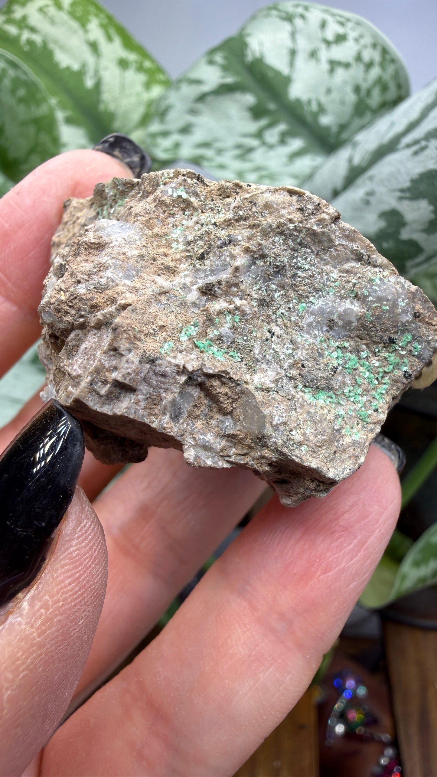 Metatorbernite- Castle Dome, Miami, Arizona