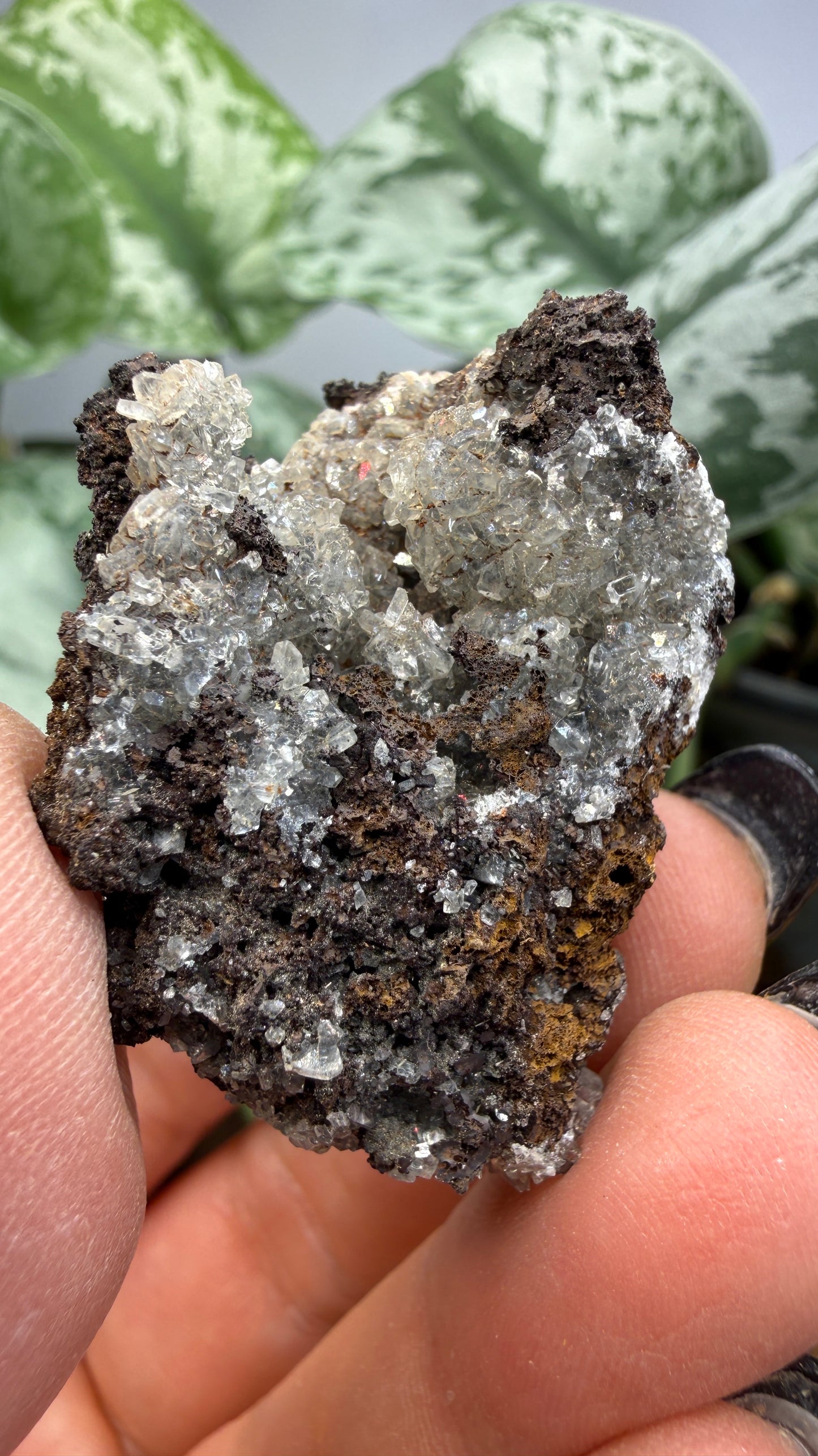 Tarbuttite Crystals- Broken Hill (Kabwe), Zambia- Type Locality