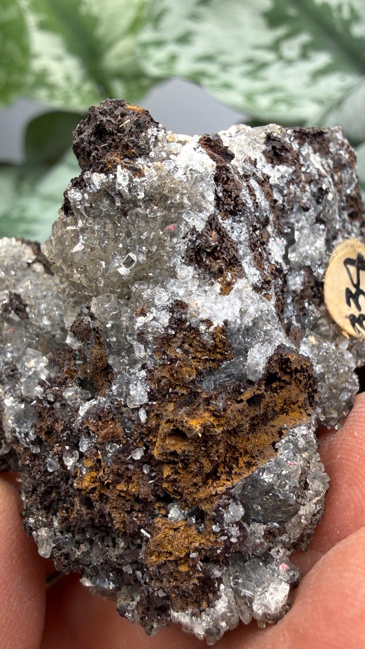 Tarbuttite Crystals- Broken Hill (Kabwe), Zambia- Type Locality