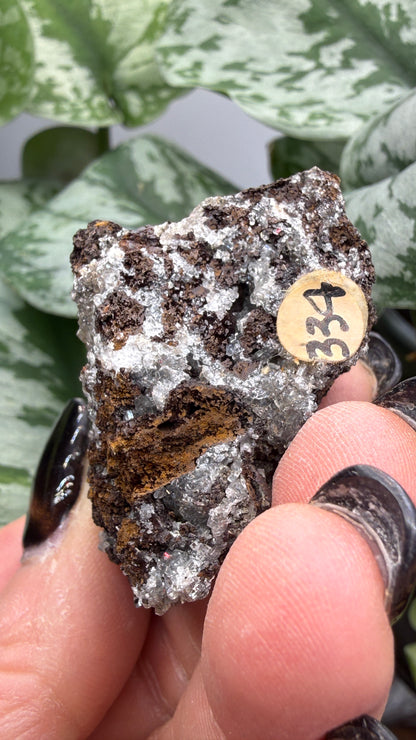 Tarbuttite Crystals- Broken Hill (Kabwe), Zambia- Type Locality