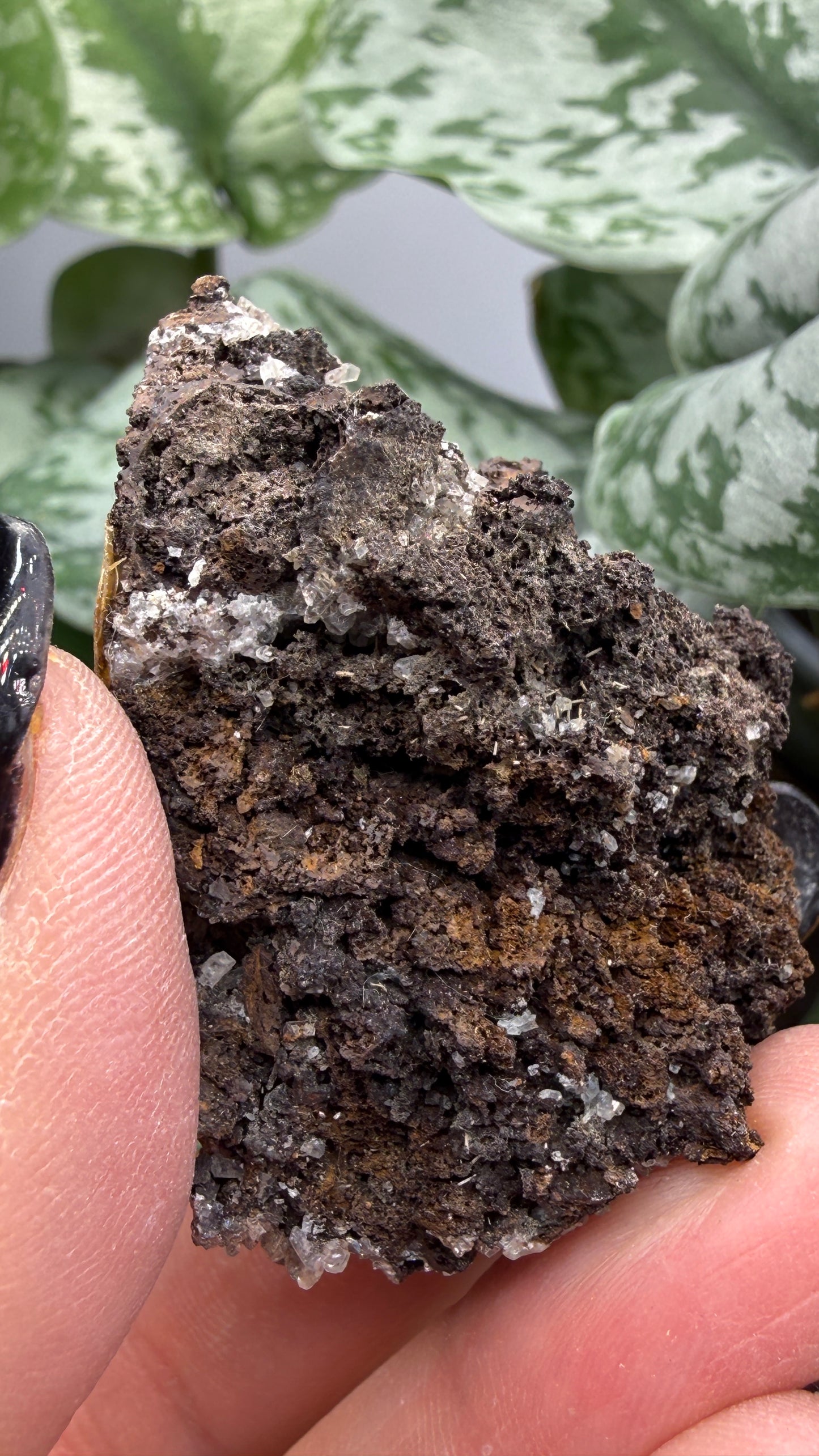 Tarbuttite Crystals- Broken Hill (Kabwe), Zambia- Type Locality