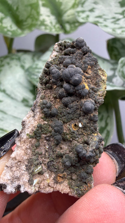 Duftite with Calcite & Wulfenite- Ojuela Mine, Mapimí, Mexico