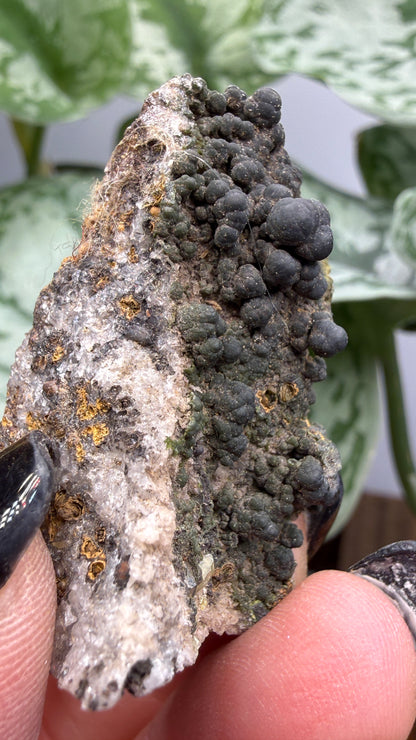Duftite with Calcite & Wulfenite- Ojuela Mine, Mapimí, Mexico