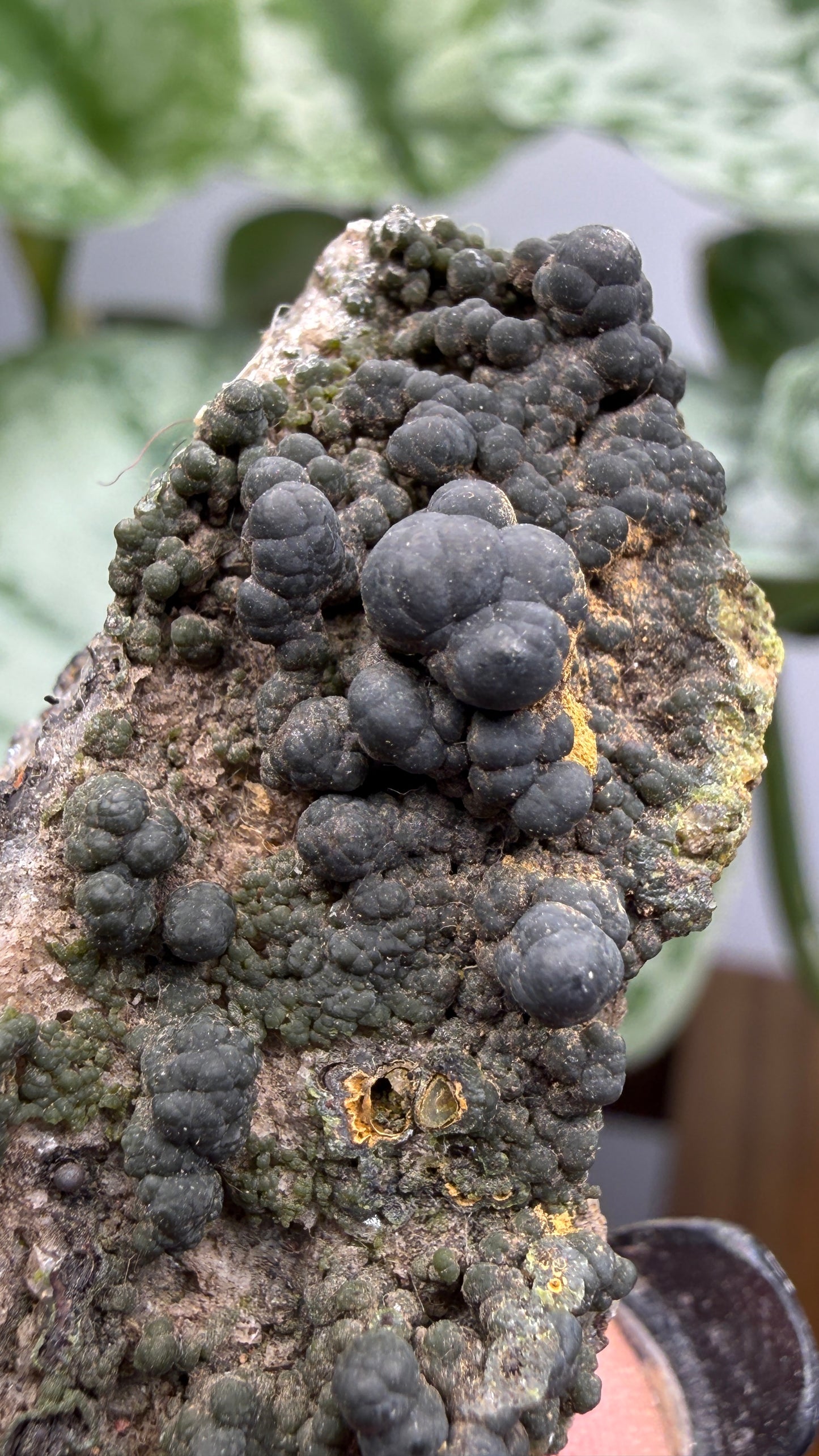 Duftite with Calcite & Wulfenite- Ojuela Mine, Mapimí, Mexico