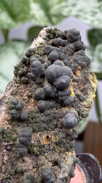 Duftite with Calcite & Wulfenite- Ojuela Mine, Mapimí, Mexico
