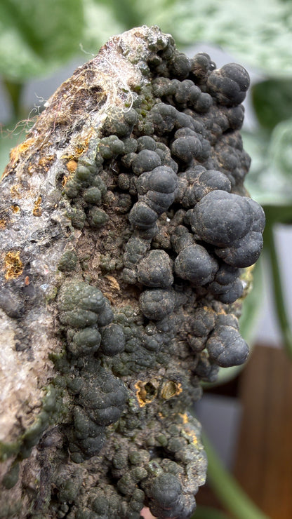 Duftite with Calcite & Wulfenite- Ojuela Mine, Mapimí, Mexico