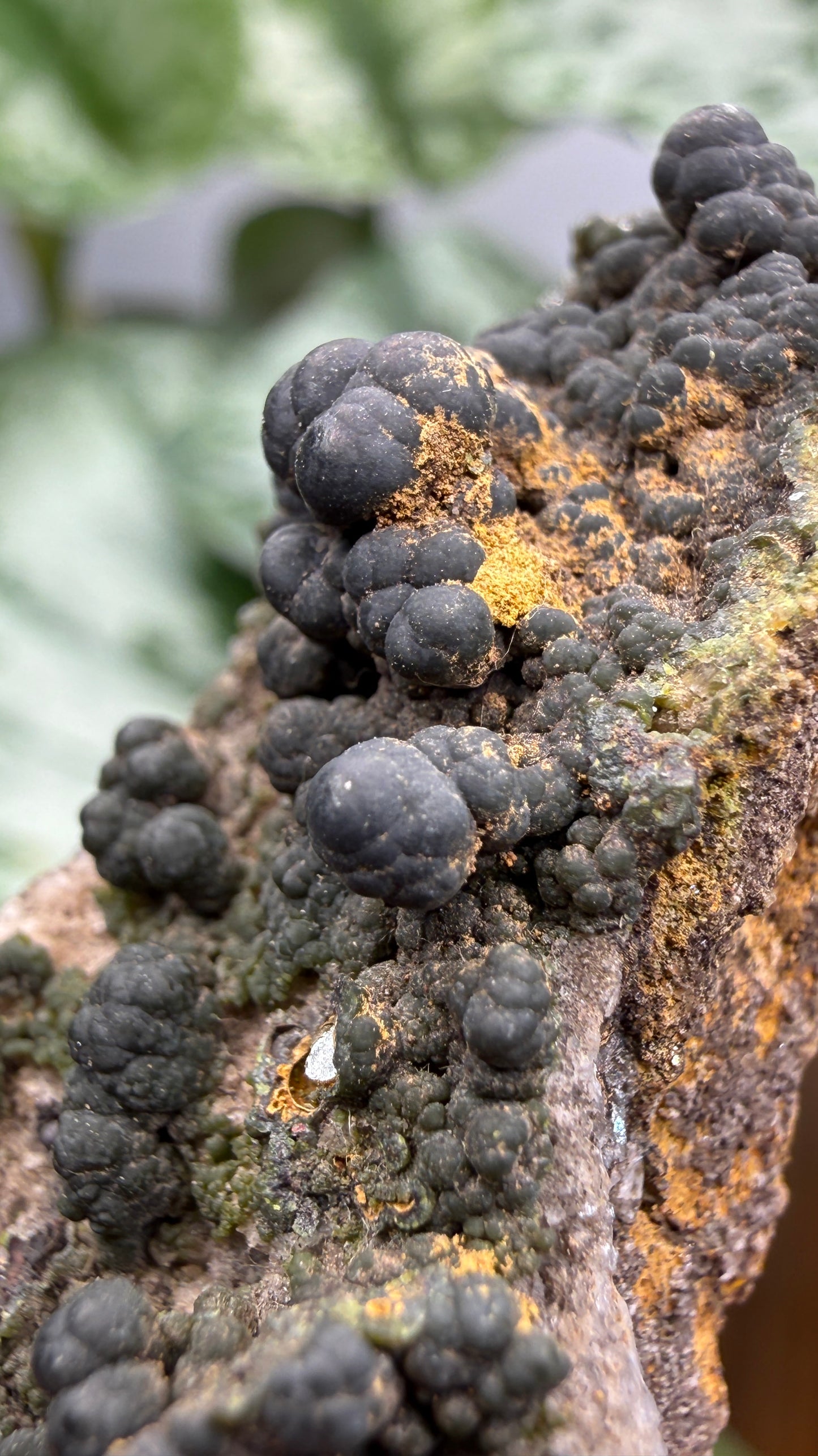 Duftite with Calcite & Wulfenite- Ojuela Mine, Mapimí, Mexico