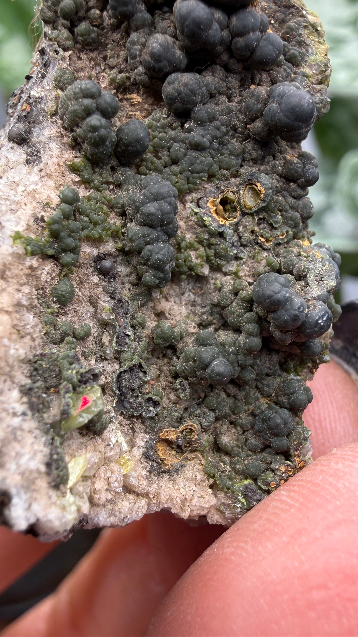 Duftite with Calcite & Wulfenite- Ojuela Mine, Mapimí, Mexico