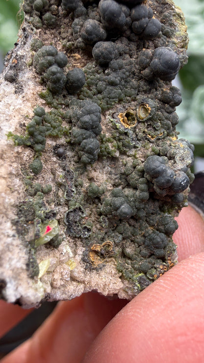 Duftite with Calcite & Wulfenite- Ojuela Mine, Mapimí, Mexico