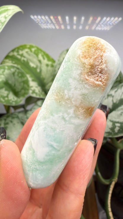 Caribbean Calcite Palm (Soap Shaped)