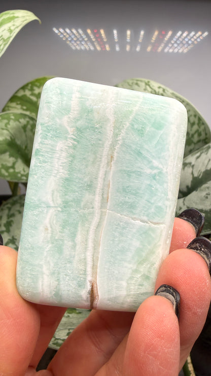 Caribbean Calcite Palm (Soap Shaped)