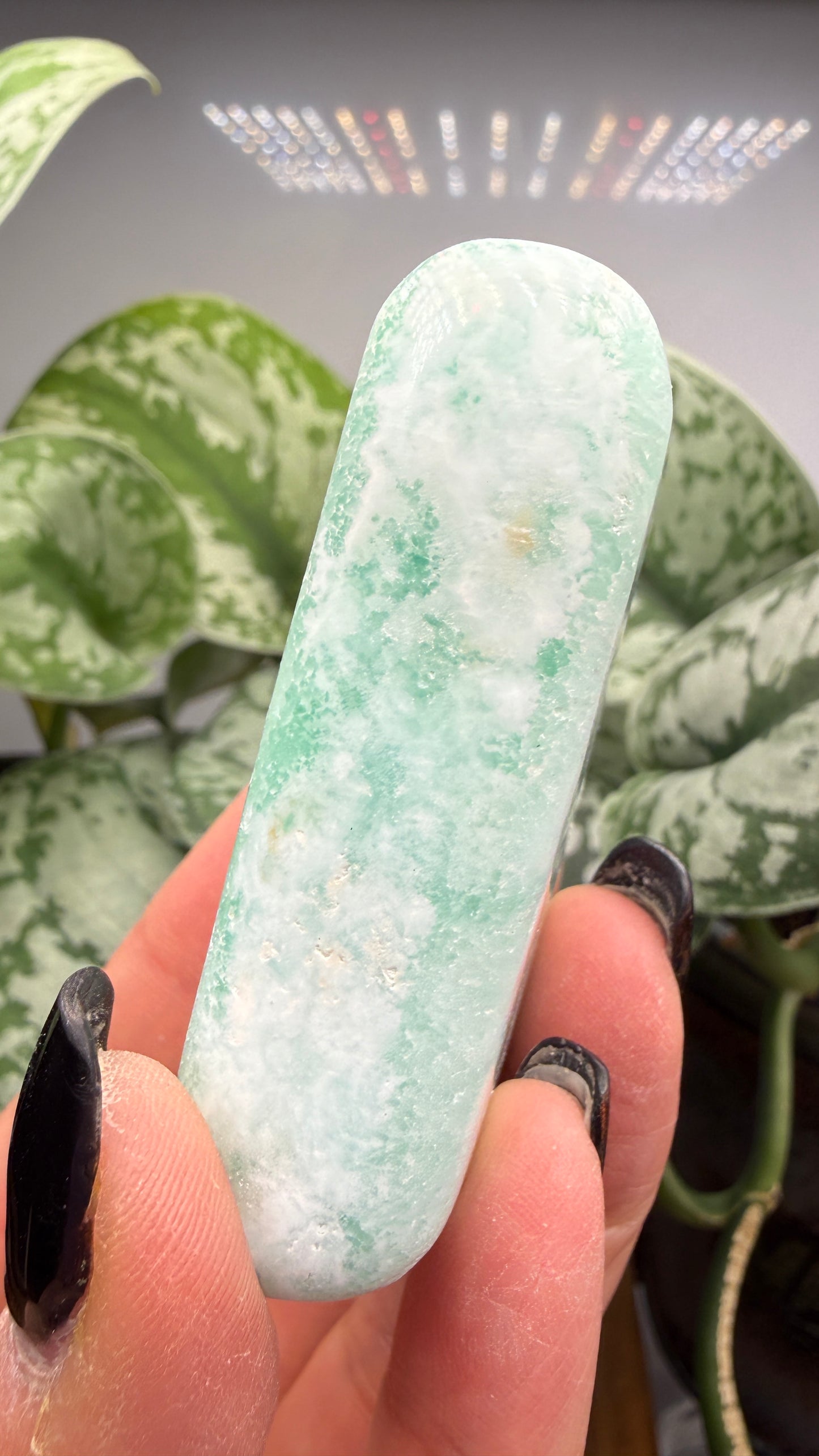 Caribbean Calcite Palm (Soap Shaped)
