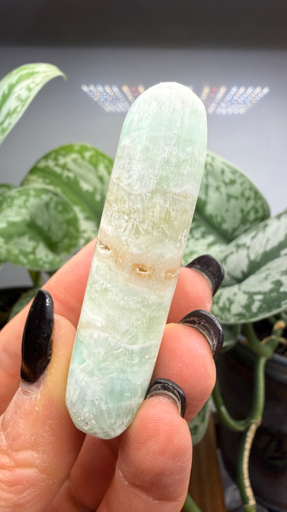 Caribbean Calcite Palm (Soap Shaped)