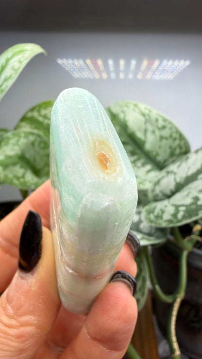 Caribbean Calcite Palm (Soap Shaped)