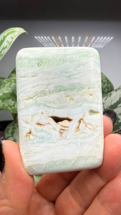 Caribbean Calcite Palm (Soap Shaped)