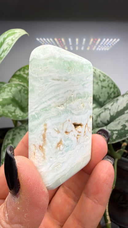 Caribbean Calcite Palm (Soap Shaped)