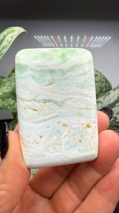 Caribbean Calcite Palm (Soap Shaped)