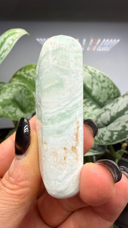 Caribbean Calcite Palm (Soap Shaped)