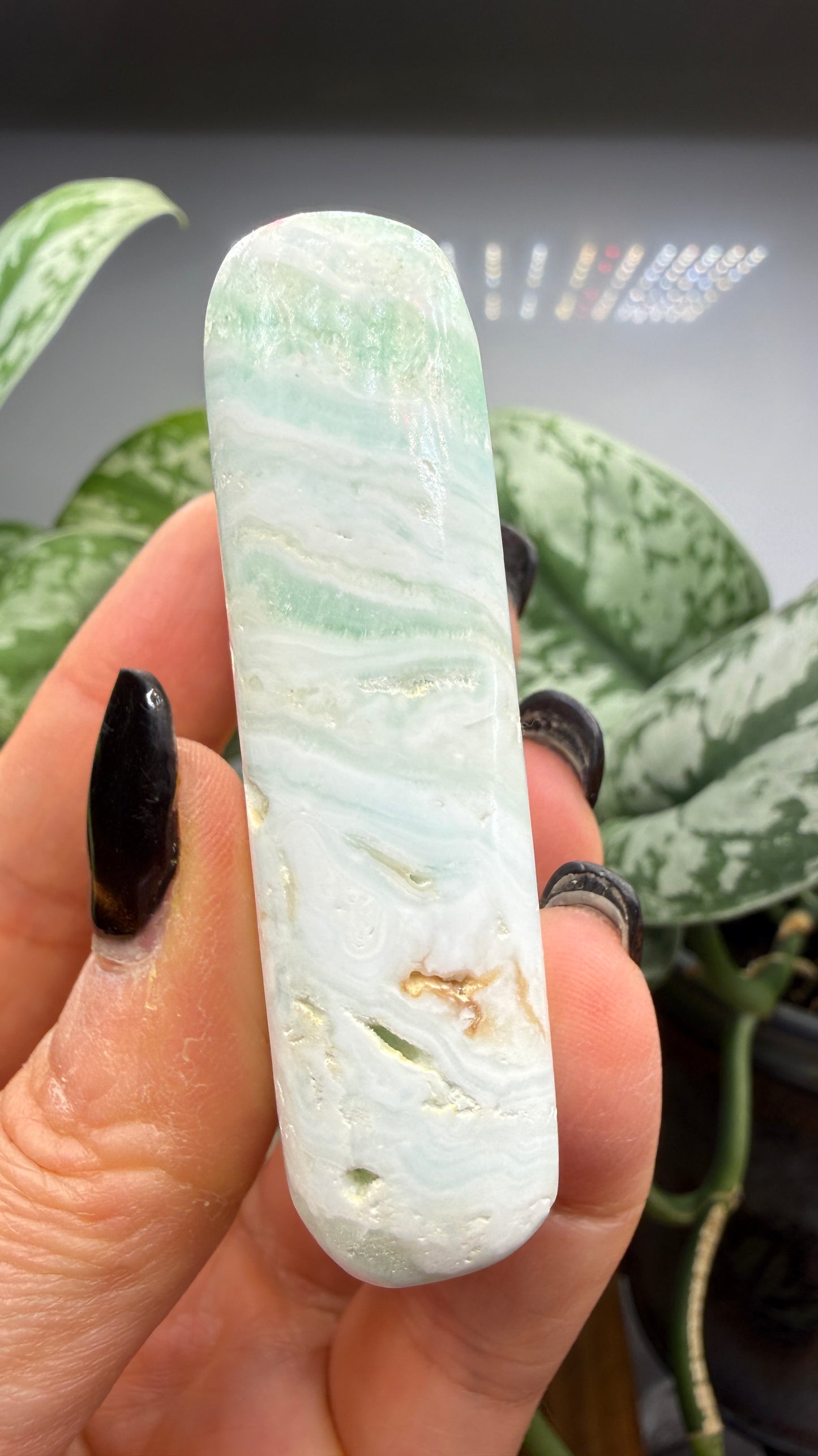 Caribbean Calcite Palm (Soap Shaped)