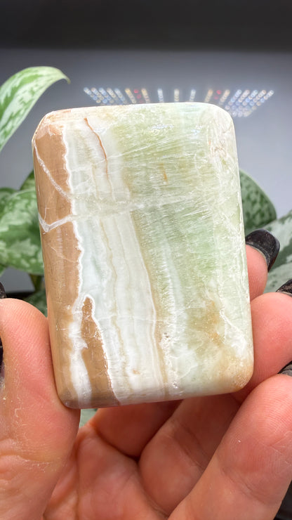 Caribbean Calcite Palm (Soap Shaped)