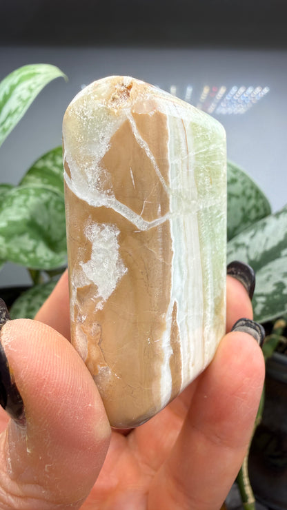 Caribbean Calcite Palm (Soap Shaped)