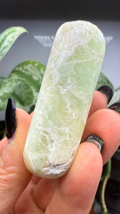 Caribbean Calcite Palm (Soap Shaped)
