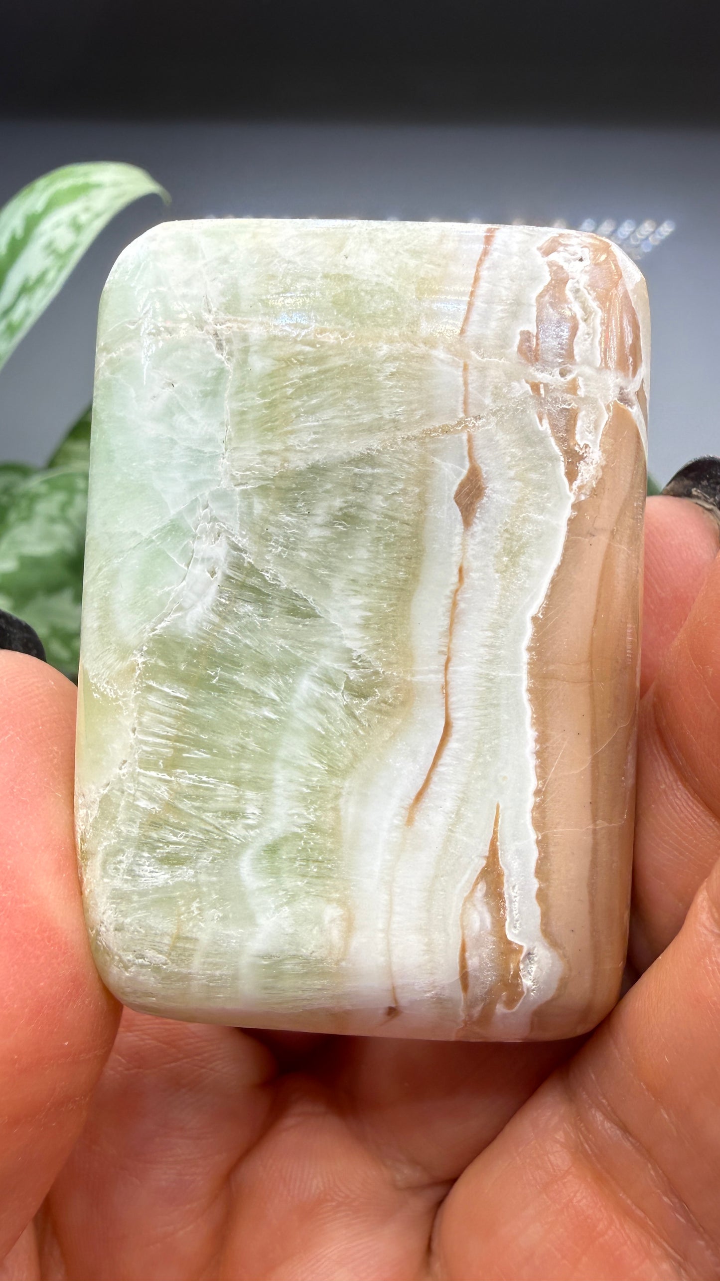 Caribbean Calcite Palm (Soap Shaped)