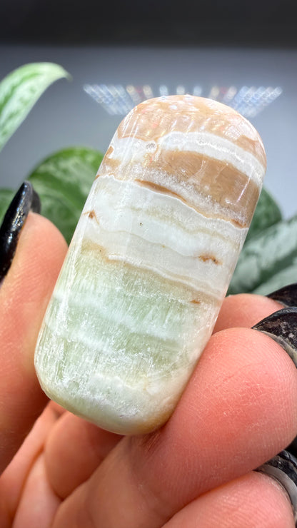 Caribbean Calcite Palm (Soap Shaped)