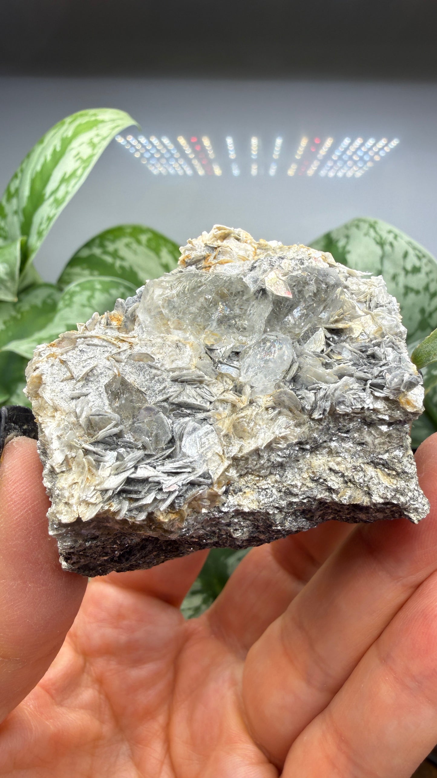 Aquamarine on Muscovite- Pingwu beryl mine, Mt Xuebaoding, Pingwu Co, Sichuan, China
