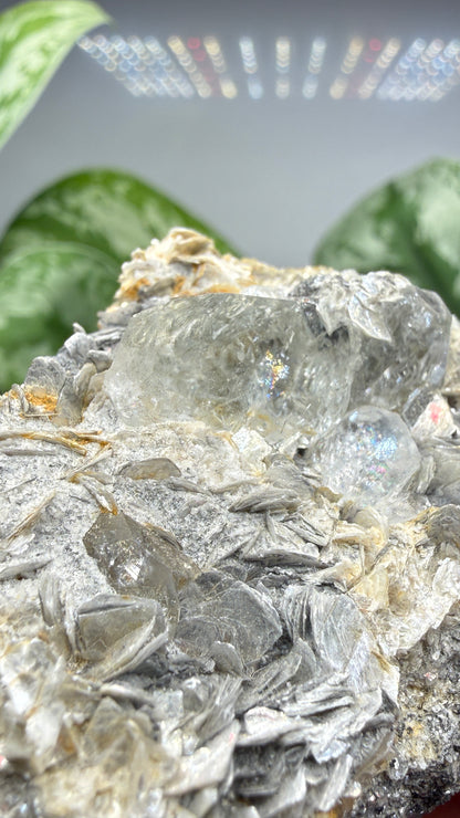 Aquamarine on Muscovite- Pingwu beryl mine, Mt Xuebaoding, Pingwu Co, Sichuan, China