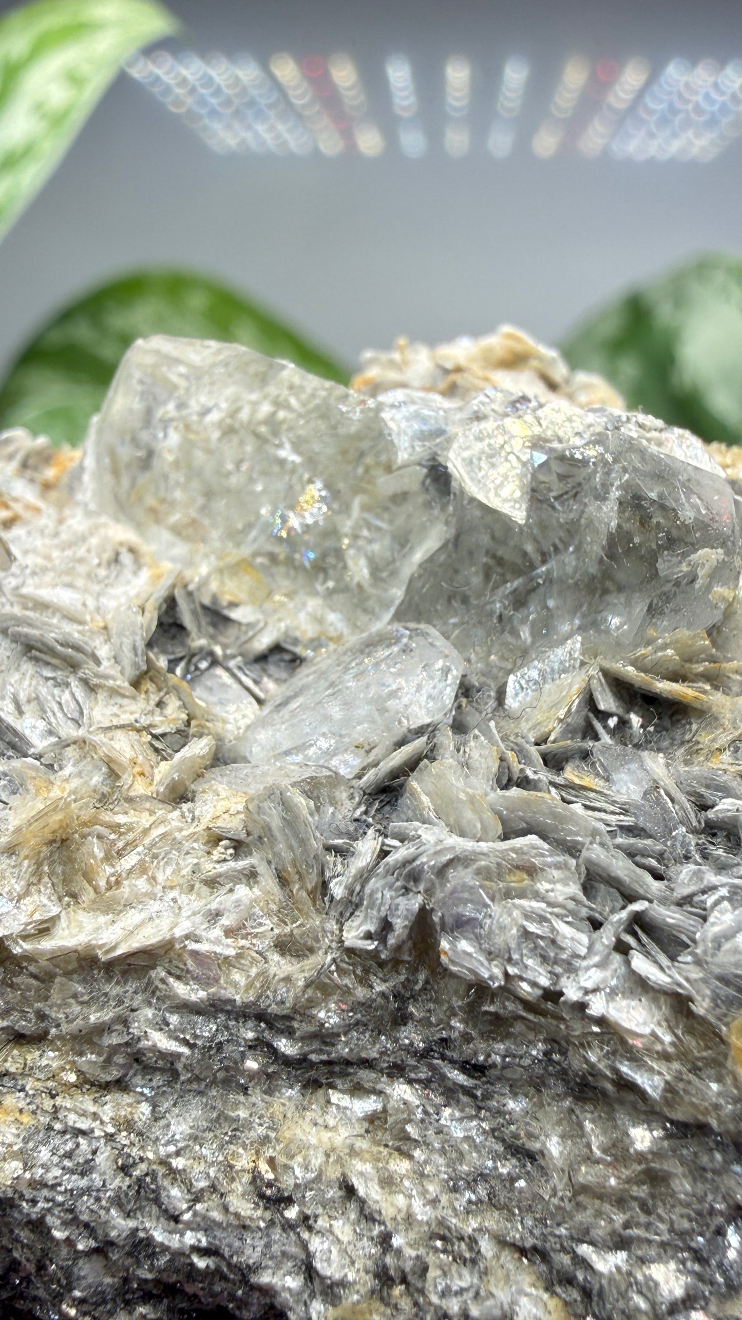 Aquamarine on Muscovite- Pingwu beryl mine, Mt Xuebaoding, Pingwu Co, Sichuan, China