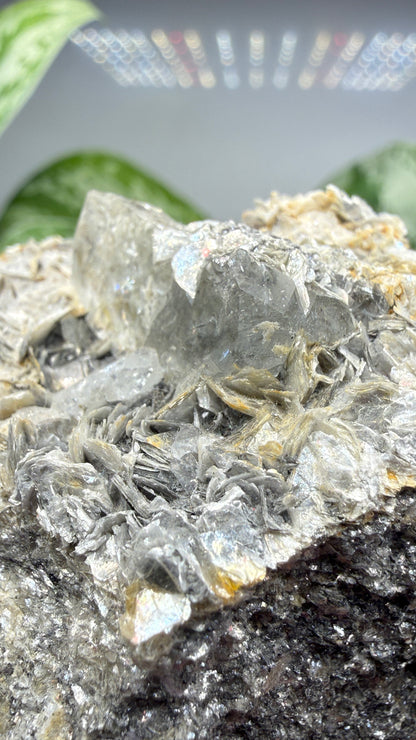 Aquamarine on Muscovite- Pingwu beryl mine, Mt Xuebaoding, Pingwu Co, Sichuan, China