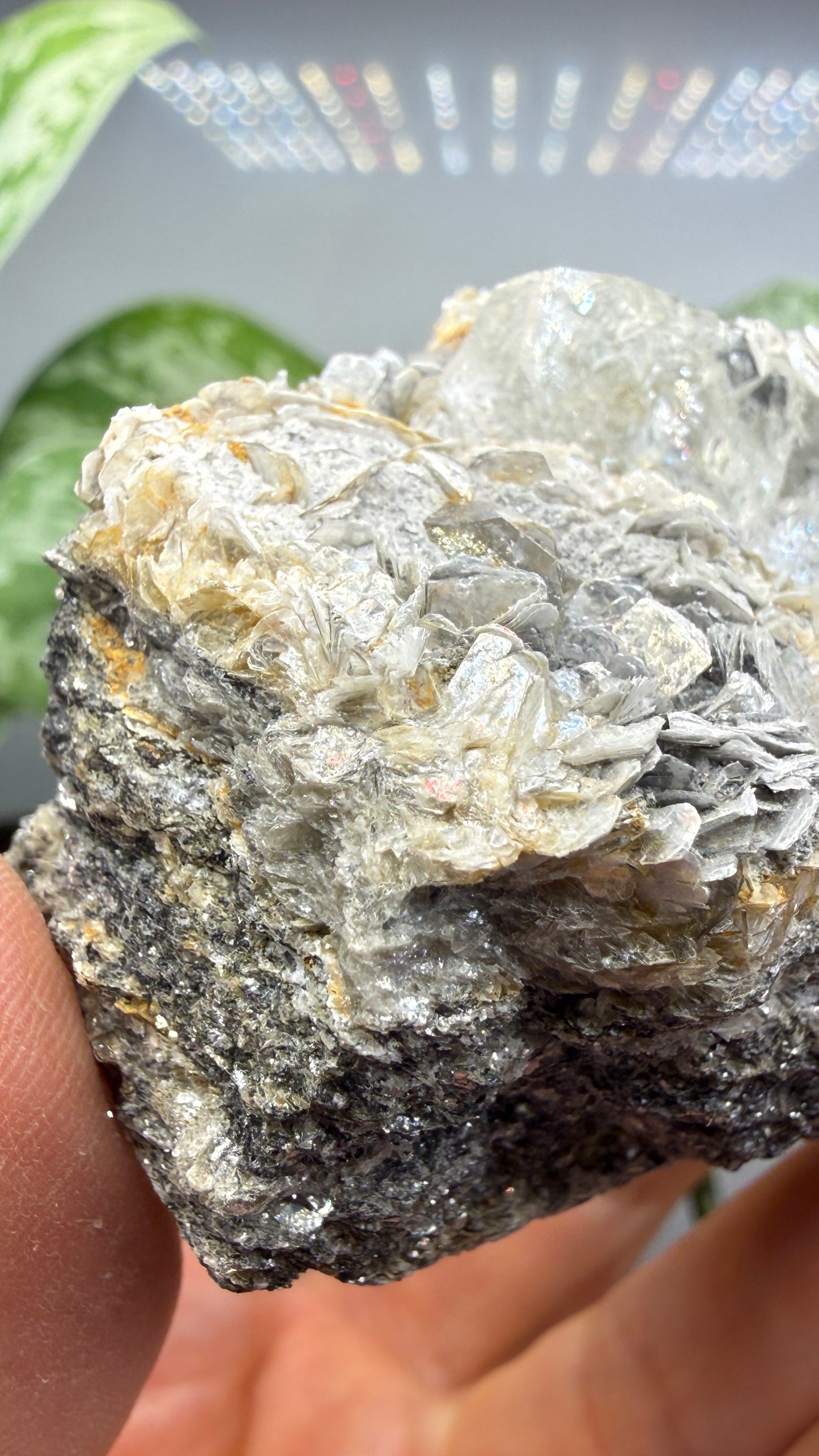Aquamarine on Muscovite- Pingwu beryl mine, Mt Xuebaoding, Pingwu Co, Sichuan, China