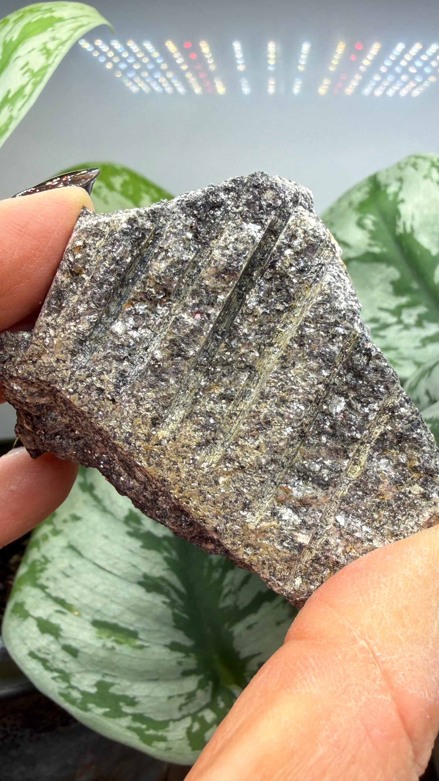 Aquamarine on Muscovite- Pingwu beryl mine, Mt Xuebaoding, Pingwu Co, Sichuan, China