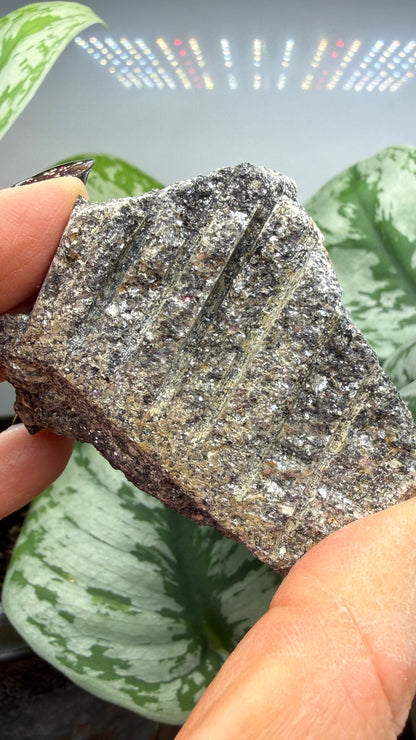 Aquamarine on Muscovite- Pingwu beryl mine, Mt Xuebaoding, Pingwu Co, Sichuan, China