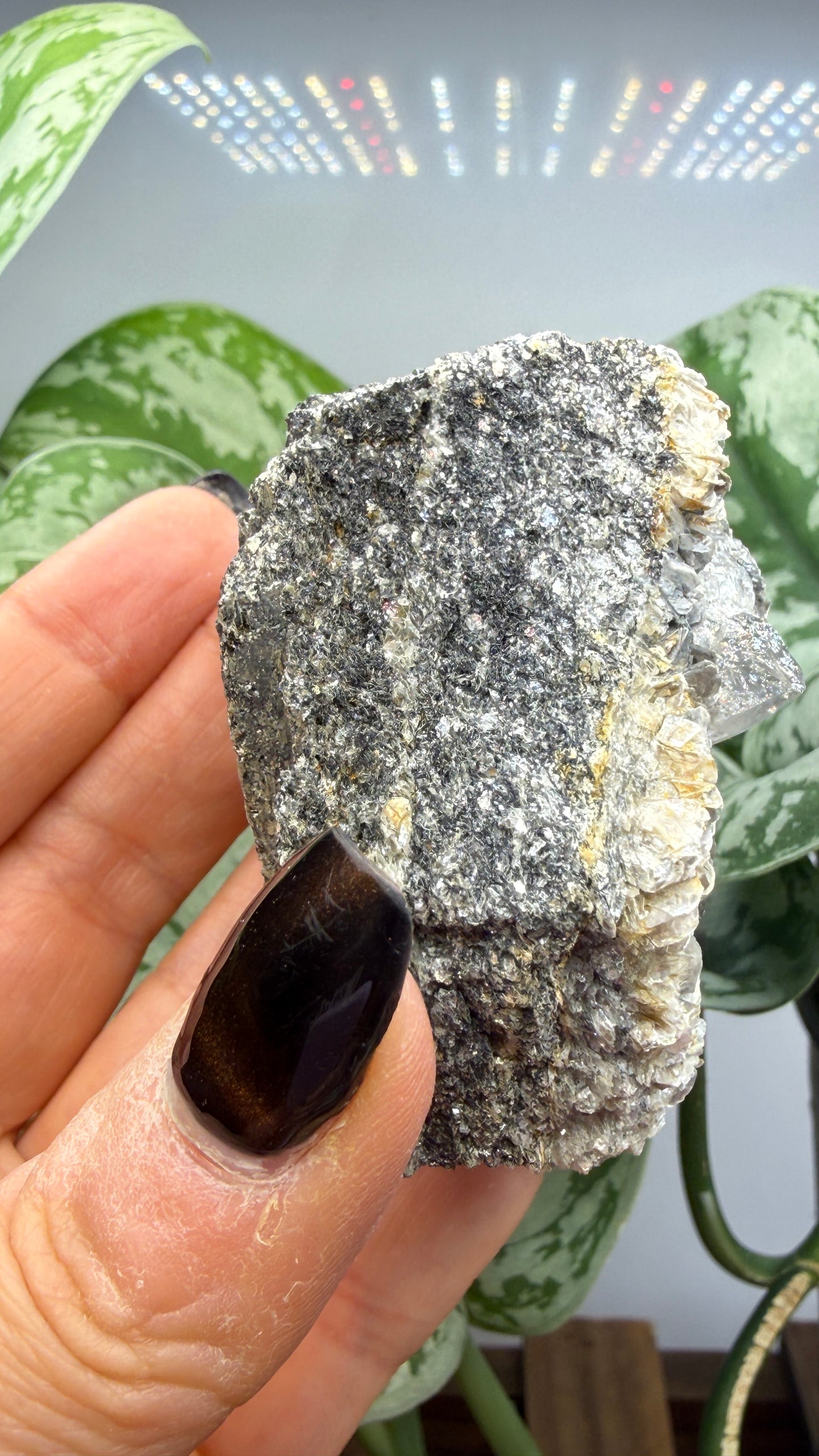 Aquamarine on Muscovite- Pingwu beryl mine, Mt Xuebaoding, Pingwu Co, Sichuan, China