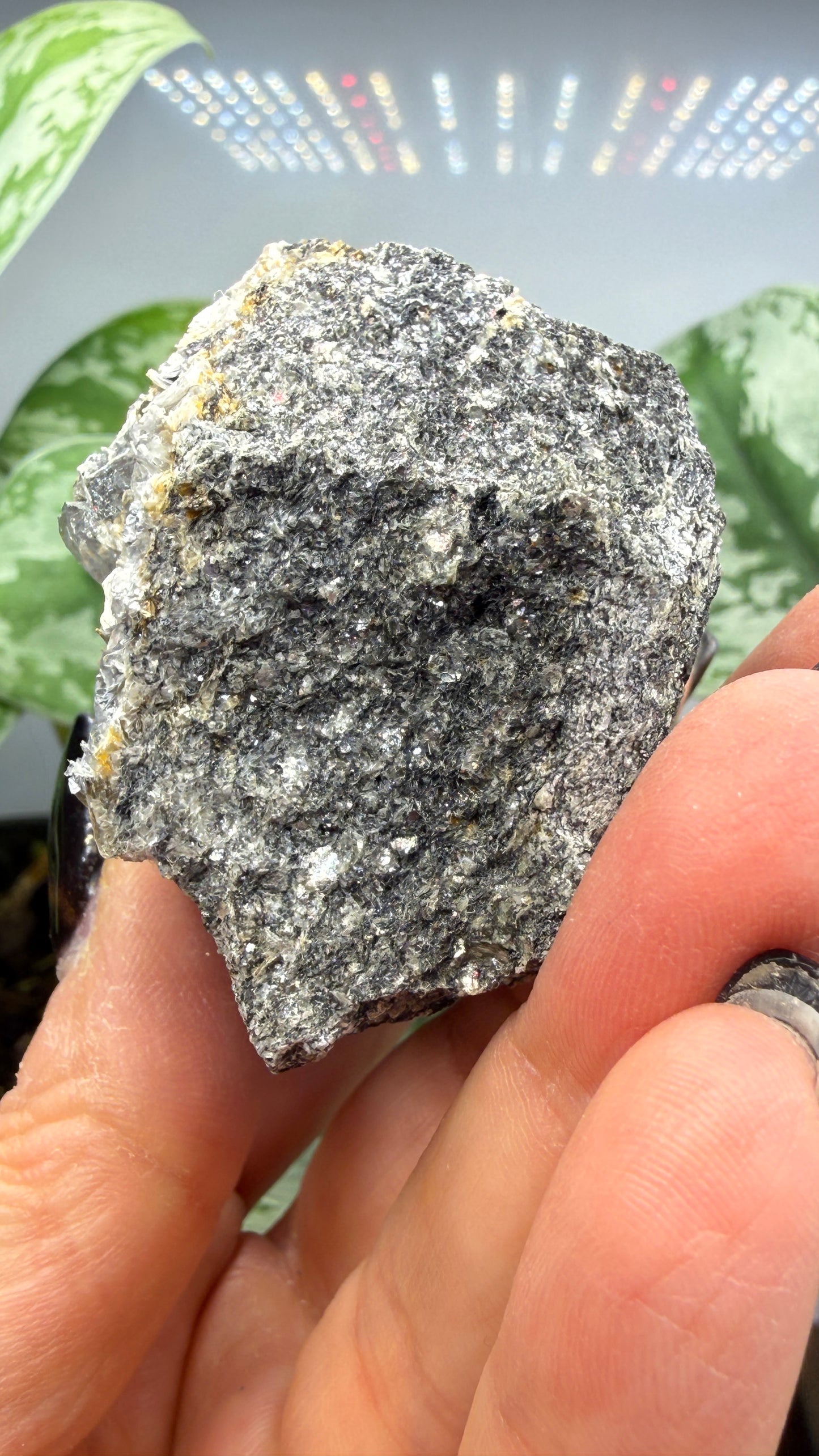 Aquamarine on Muscovite- Pingwu beryl mine, Mt Xuebaoding, Pingwu Co, Sichuan, China