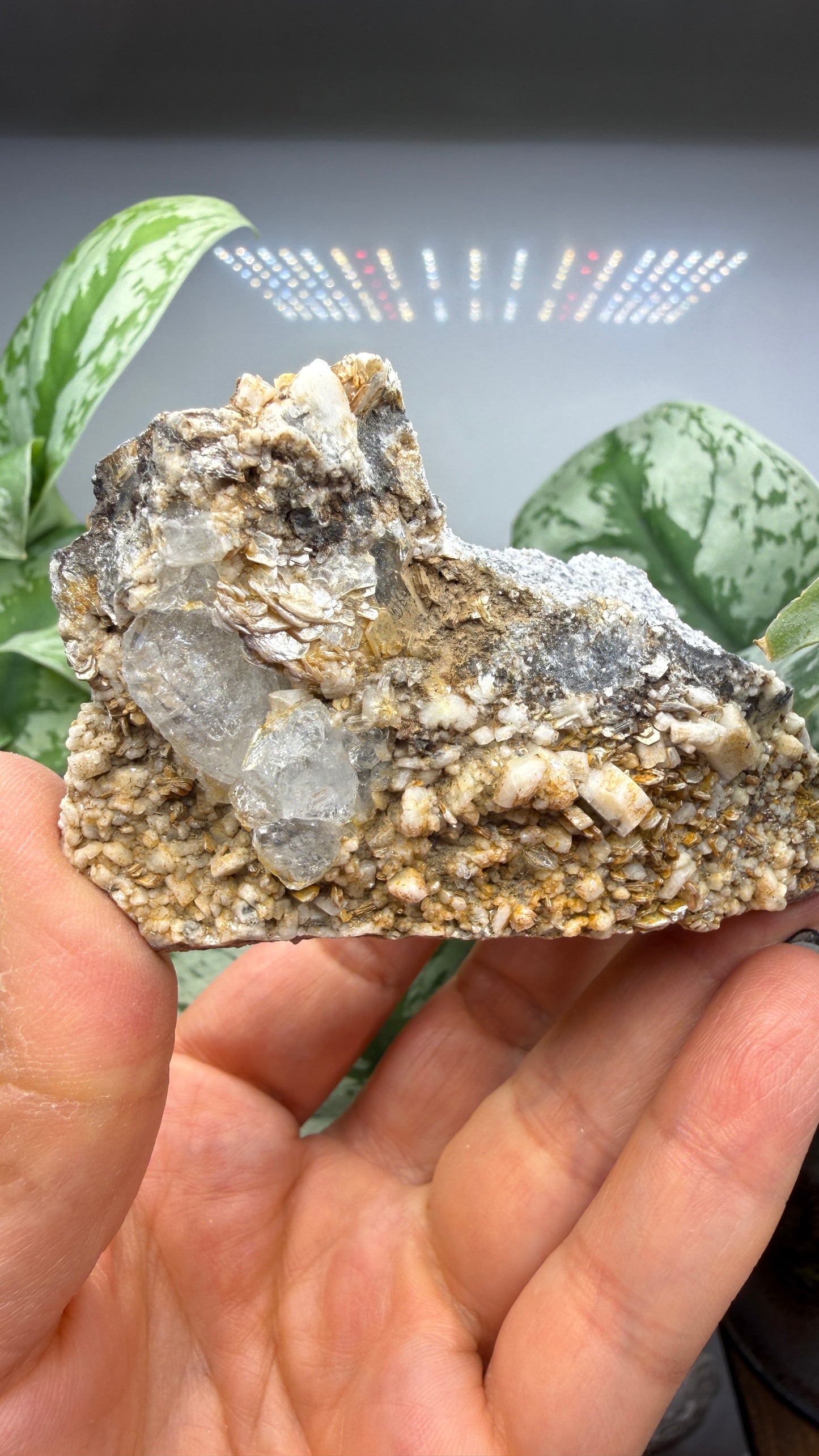 Aquamarine on Muscovite- Pingwu beryl mine, Mt Xuebaoding, Pingwu Co, Sichuan, China