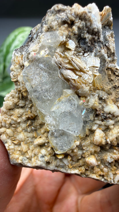 Aquamarine on Muscovite- Pingwu beryl mine, Mt Xuebaoding, Pingwu Co, Sichuan, China