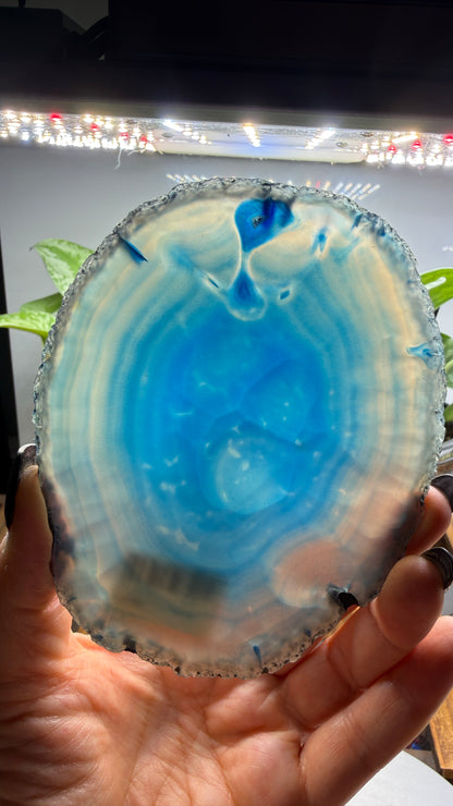 Agate Slice (Dyed- Blue)- Brazil