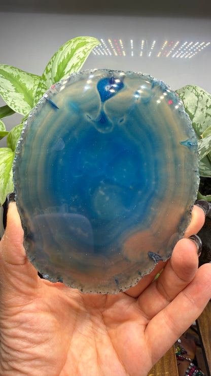 Agate Slice (Dyed- Blue)- Brazil