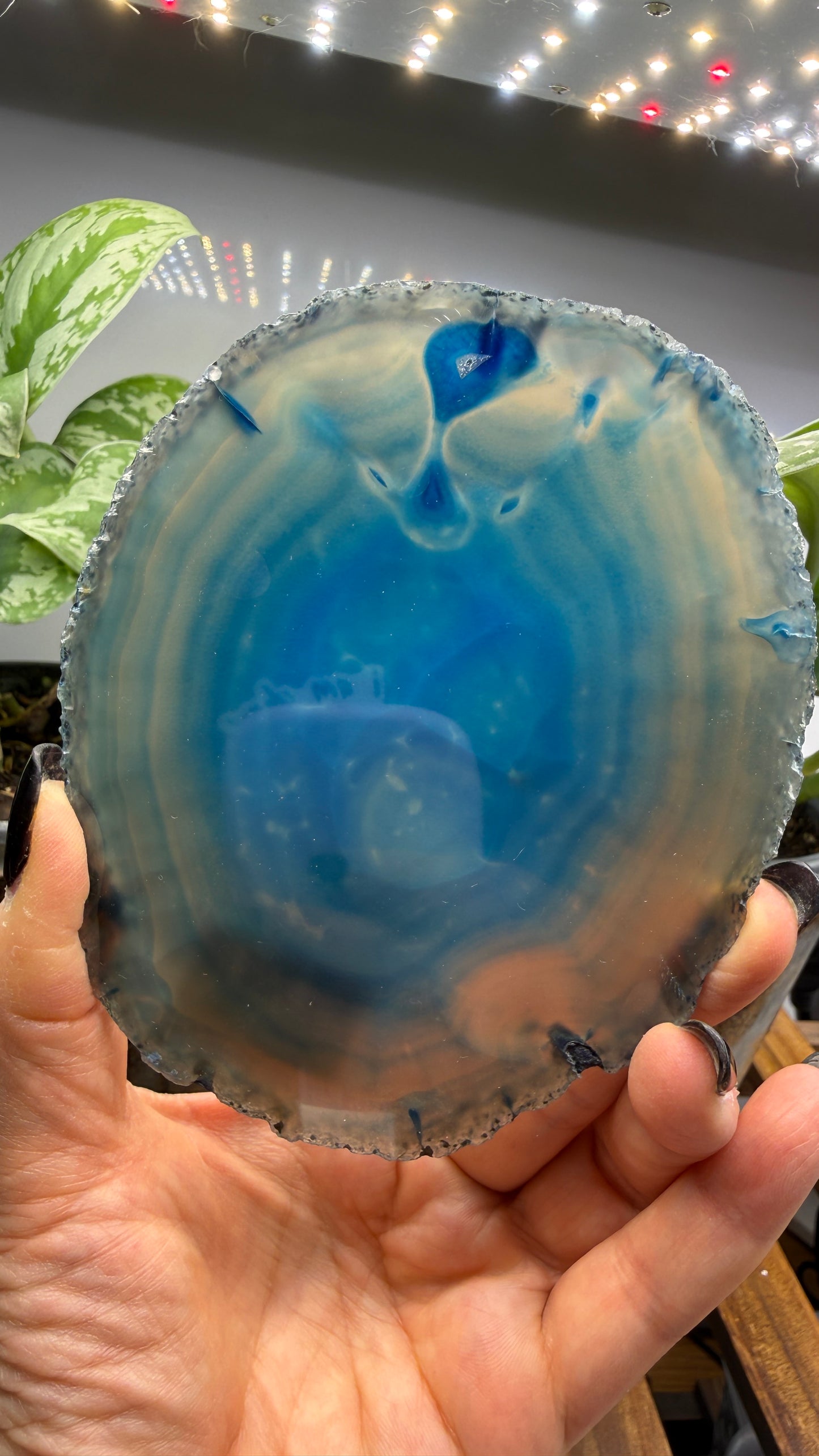 Agate Slice (Dyed- Blue)- Brazil
