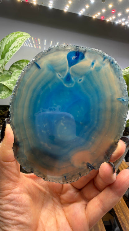 Agate Slice (Dyed- Blue)- Brazil