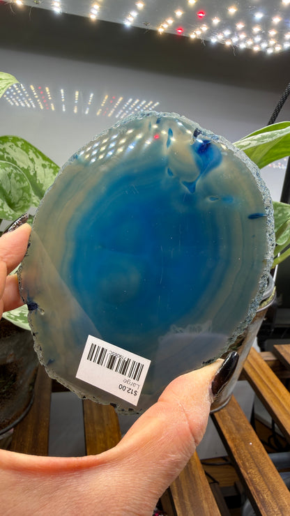 Agate Slice (Dyed- Blue)- Brazil