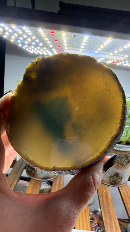 Agate Slice (Dyed- Blue)- Brazil- thicker slab
